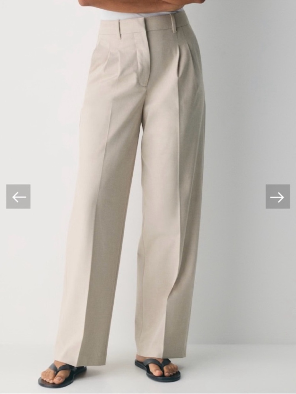Babaton Pleated Wide Leg Trousers